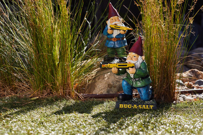 Garden Gnomes